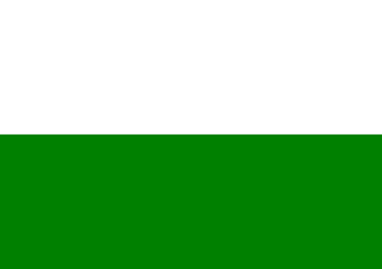 bandera.png